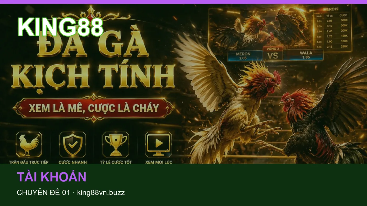 Trải nghiệm Tài khoản trên điện thoại cùng cẩm nang KING88