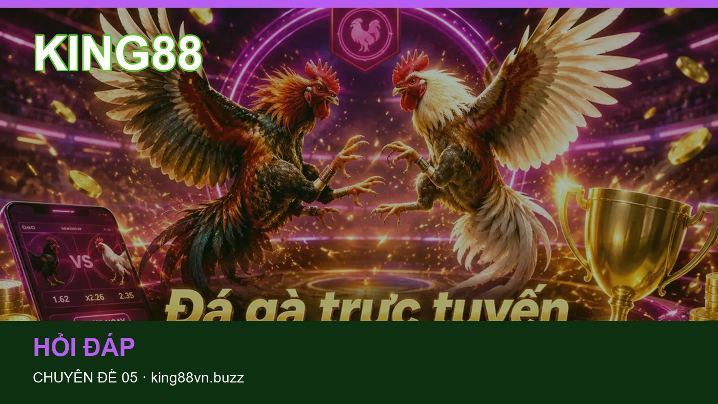 Danh sách kiểm tra thông tin Hỏi đáp dành cho người đọc KING88